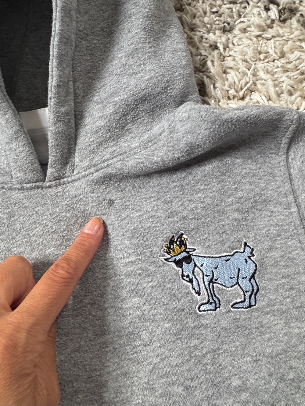 Gray Goat USA Hoody - Picture 4 of 6